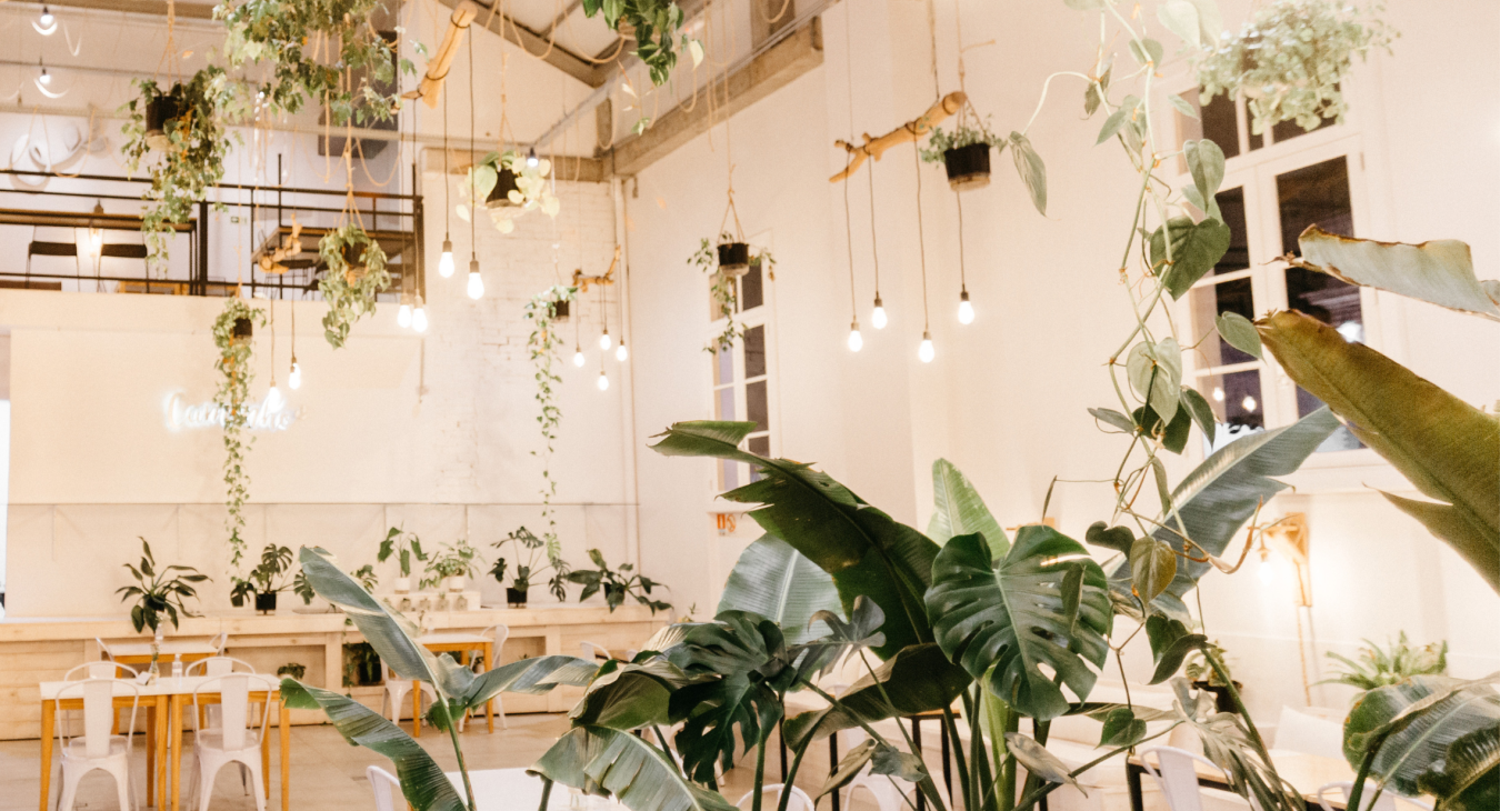 Electrical safety requirements for your business Joe Newton Electrical